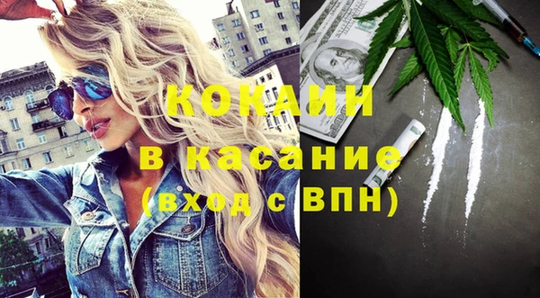 дмт Алзамай