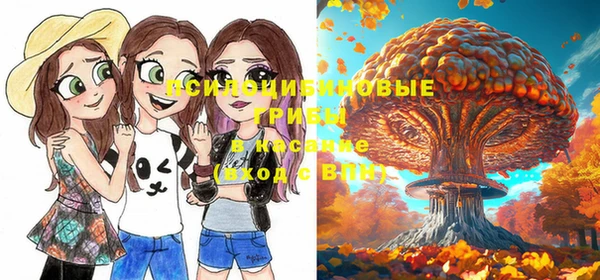 дмт Алзамай
